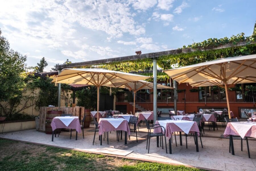 Verona: Wine Tasting with Snacks and Panoramic Views - The 30-minute vineyard and winery tour: what you’ll actually see