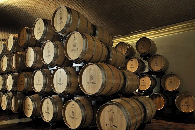 Vineyard Tour with Light Lunch in Valpolicella - Cellar Time: Aging in Barrels, Barriques, and Concrete Amphorae