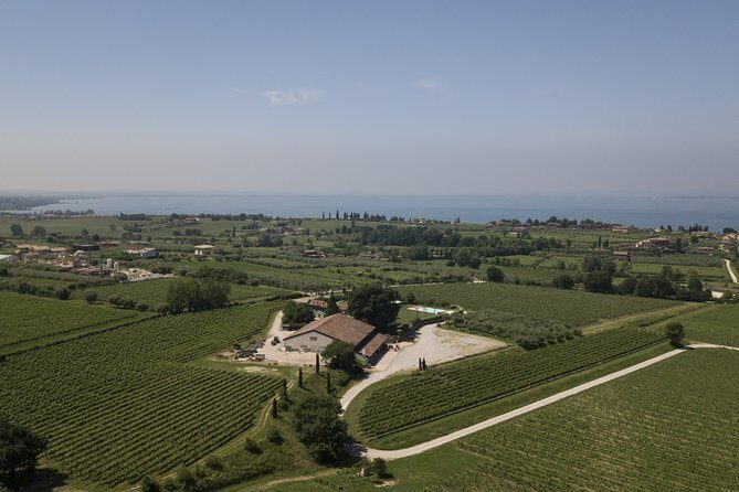 Visit and wine tasting at Tenuta La Cà - Key things to know before you go