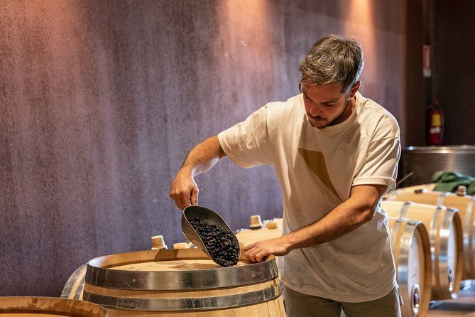 Visit and wine tasting at Tenuta La Cà - Price and value: is $46.86 a fair deal?