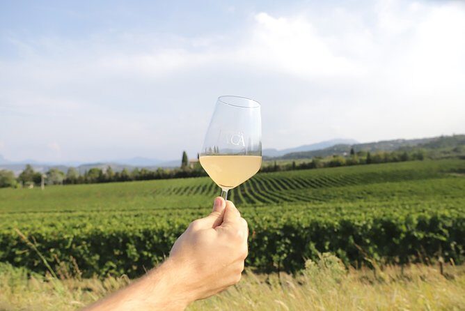 Visit and wine tasting at Tenuta La Cà - Countryside talk: vines, soil, and terroir in real-world terms