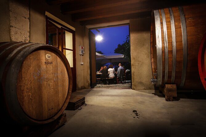 Wine Tasting with Panoramic View of Verona - The tasting that matters: five wines and an Amarone moment